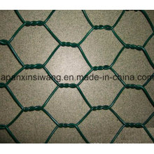 Hexagonal Netting